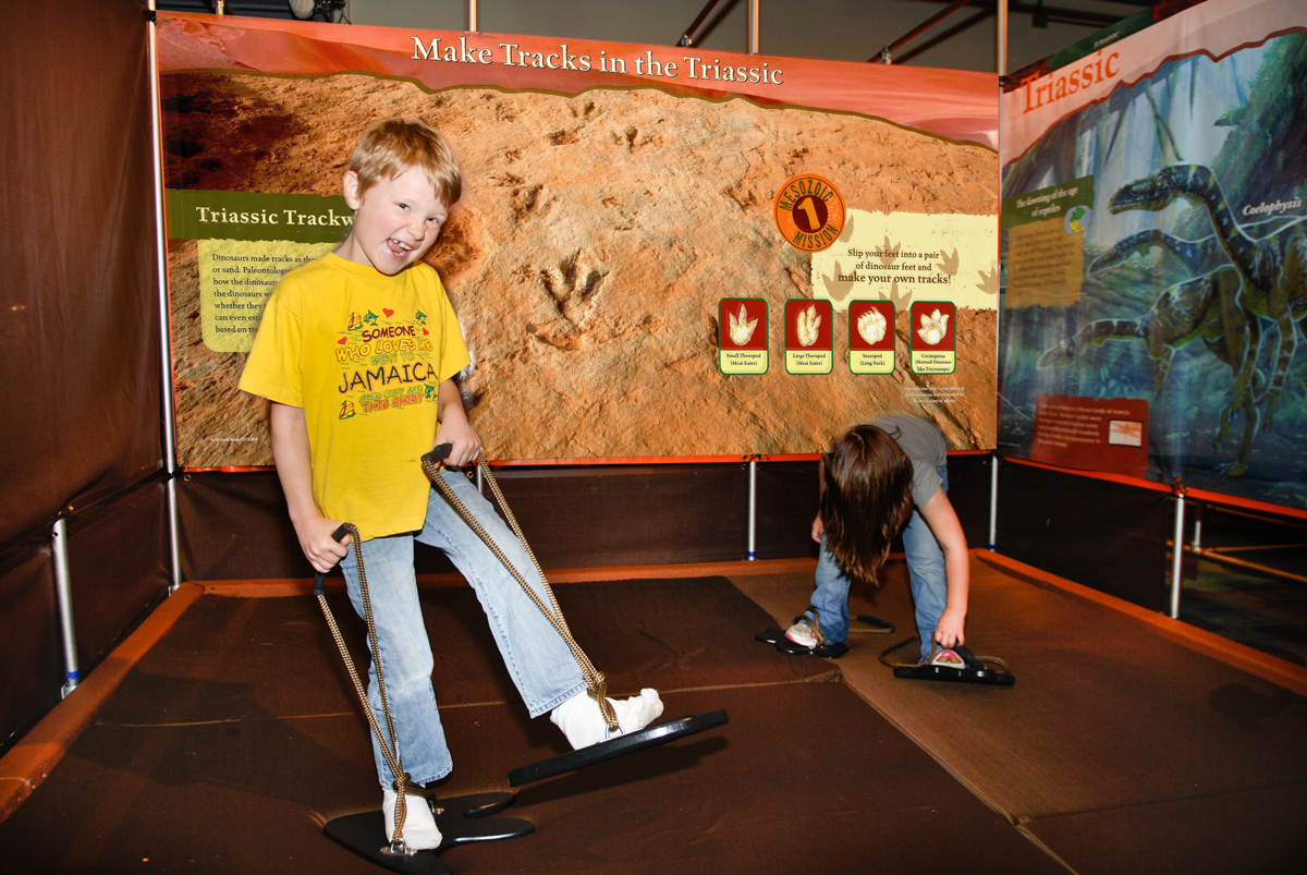 New Dinosaur Exhibit At The South Florida Science Center And Aquarium ...