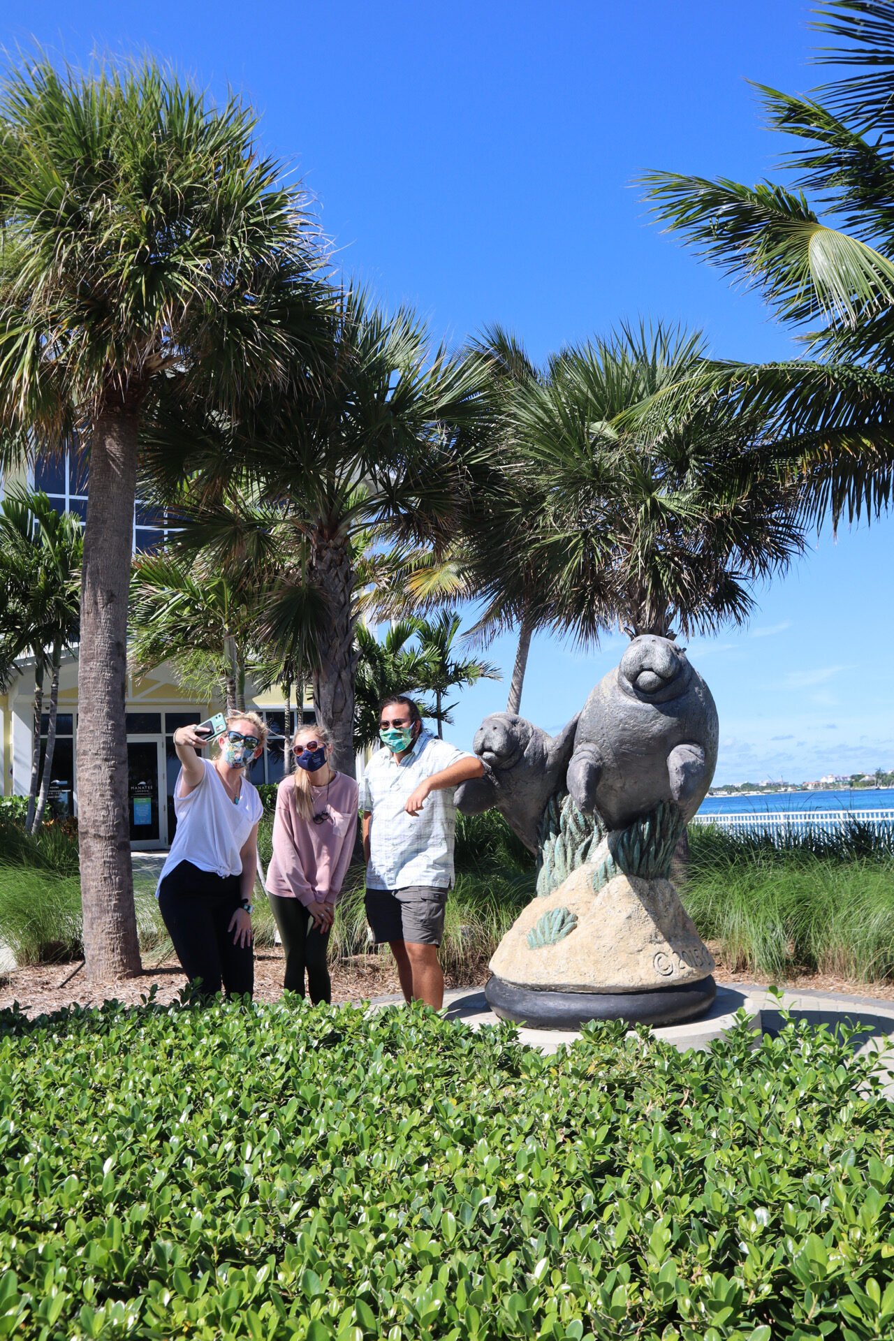 FPL’S Manatee Lagoon Reopens Its Doors With New Offerings In ...